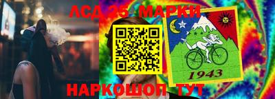 эйфоретик Донской